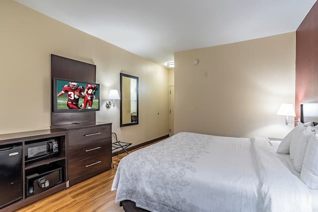 레드 루프 인 플러스+ 휴스턴 - 에너지 코리도-스탠다드룸, 퀸사이즈침대 1개 (Smoke Free)-4