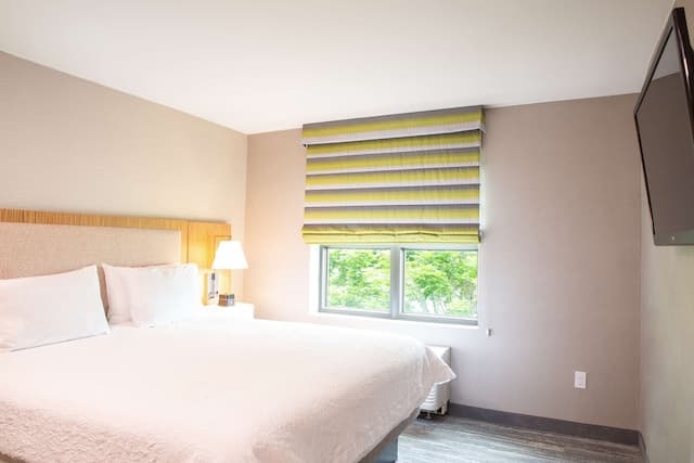 햄프턴 인 & 스위트 시애틀-다운타운-스위트, 침실 2개-2