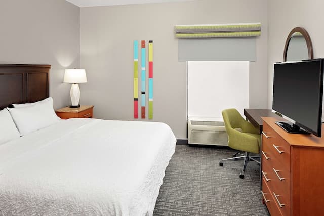 Hampton Inn & Suites Houston Medical Center NRG Park-Standard King Room w/ Mini Fridge & Microwave-3