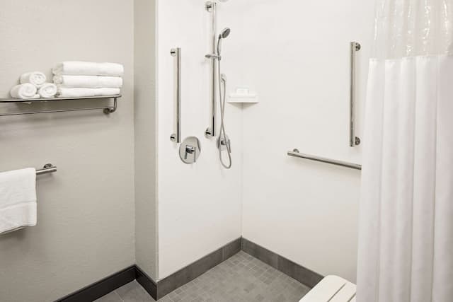 Hampton Inn & Suites Houston Medical Center NRG Park-Standard 1 King w/ Rollin Shower-5