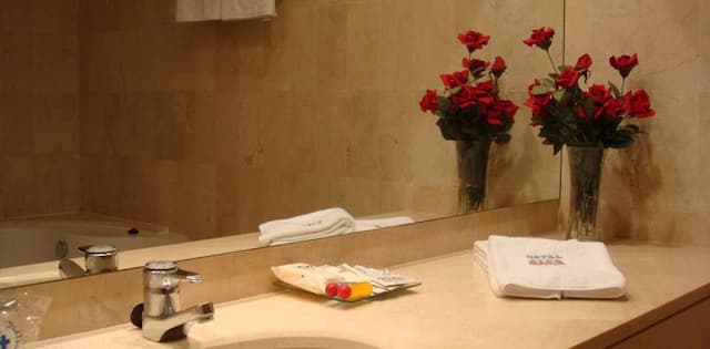 Hotel Air Penedès-Standard Double Room Single Use-4