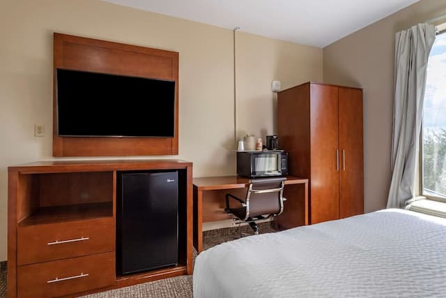 Comfort Suites Houston near Medical Center- NRG Stadium-客房, 1 张大床, 无烟房-3