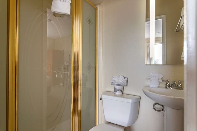 Comfort Suites Houston near Medical Center- NRG Stadium-客房, 1 张大床, 无烟房-4