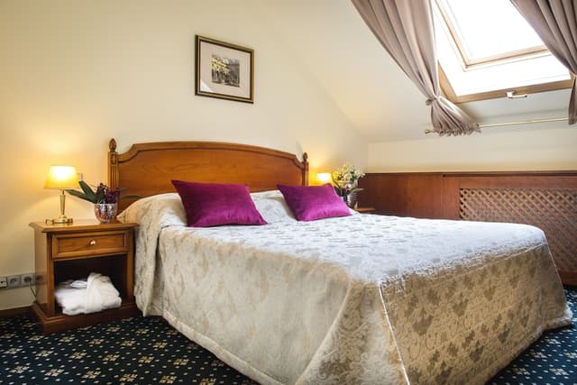 Boutique Hotel Seven Days Prague-标准双人房或双床房-5