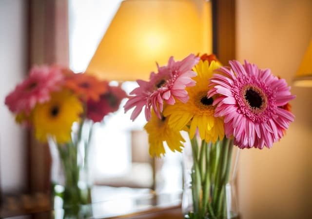 Boutique Hotel Seven Days Prague-标准双人房或双床房-6