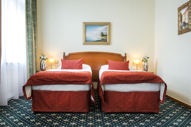 Boutique Hotel Seven Days Prague-标准双人房或双床房-2