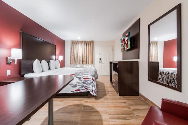 레드 루프 인 휴스턴 – 스프링 노스-슈피리어룸, 킹사이즈침대 1개, 금연-2