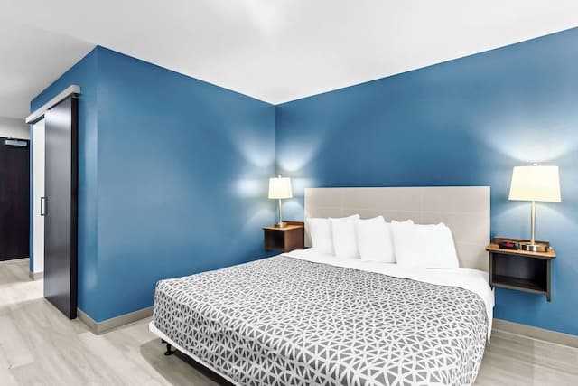 우즈스프링 스위트스 사우스 휴스턴 호비-스위트, 킹사이즈침대 1개, 장애인 지원, 금연-2