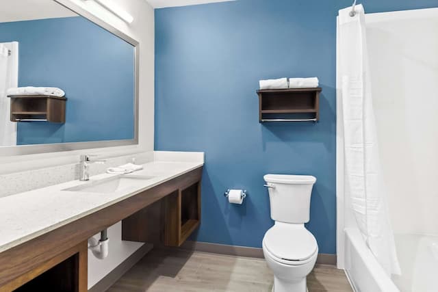 우즈스프링 스위트스 사우스 휴스턴 호비-스위트, 퀸사이즈침대 1개, 금연-2