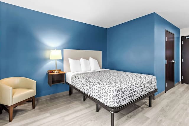 우즈스프링 스위트스 사우스 휴스턴 호비-스위트, 퀸사이즈침대 1개, 금연-1