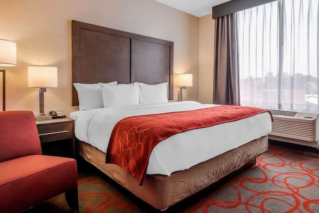 Comfort Inn & Suites near Stadium-Standard Room, 1 King Bed, Non Smoking-1