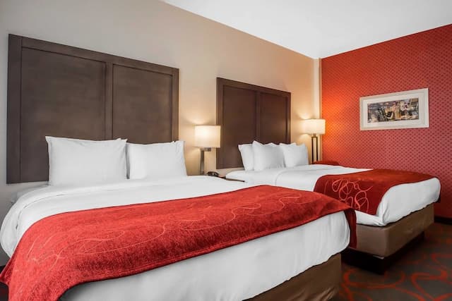 Comfort Inn & Suites near Stadium-Standard Room, 2 Queen Beds, Non Smoking-1