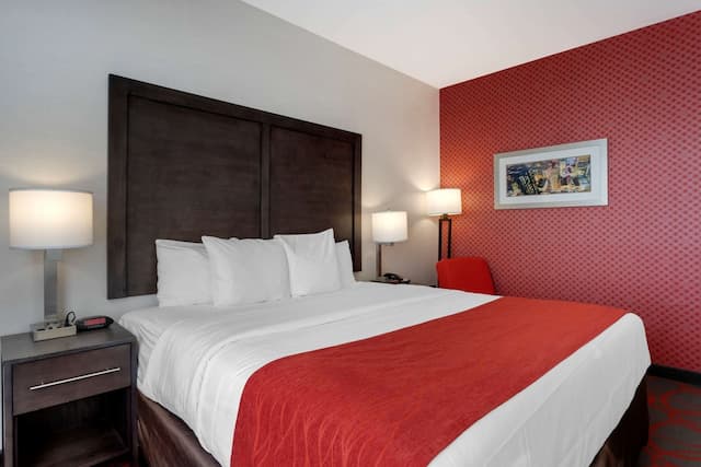 Comfort Inn & Suites near Stadium-Standard Room, 1 King Bed, Non Smoking-7