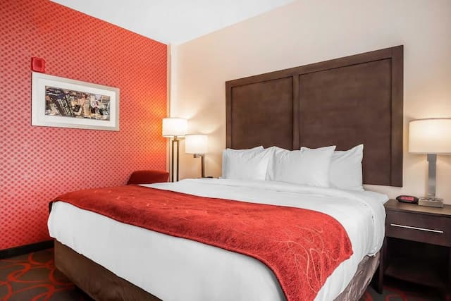 Comfort Inn & Suites near Stadium-Standard Room, 1 King Bed, Non Smoking-4