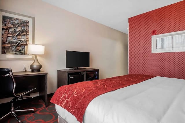 Comfort Inn & Suites near Stadium-Standard Room, 1 King Bed, Non Smoking-3