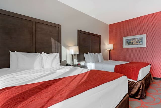 Comfort Inn & Suites near Stadium-Standard Room, 2 Queen Beds, Non Smoking-5