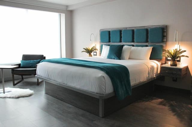 호텔 르 블뢰-Signature Collection 1 King Bed-5