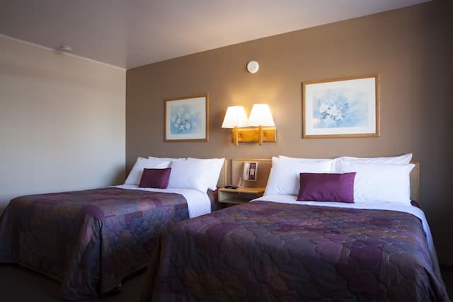 Heart O' Chicago-Standard Double Room, 2 Double Beds-2