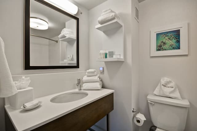 ハンプトン イン & スイーツ ロサンゼルス バーバンク エアポート-ルーム キングベッド 1 台 バリアフリー 禁煙-4