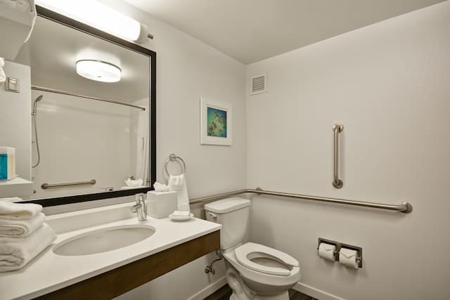 ハンプトン イン & スイーツ ロサンゼルス バーバンク エアポート-ルーム キングベッド 1 台 バリアフリー 禁煙-2