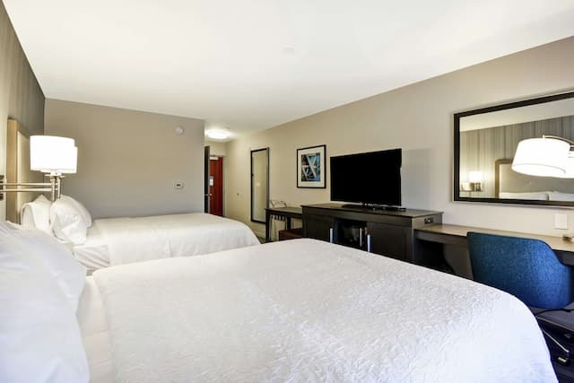 ハンプトン イン & スイーツ ロサンゼルス バーバンク エアポート-クイーンサイズベッド 2 台 (禁煙)-1