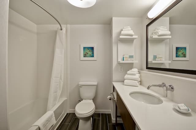 ハンプトン イン & スイーツ ロサンゼルス バーバンク エアポート-キングサイズベッド 1 台 (禁煙)-4