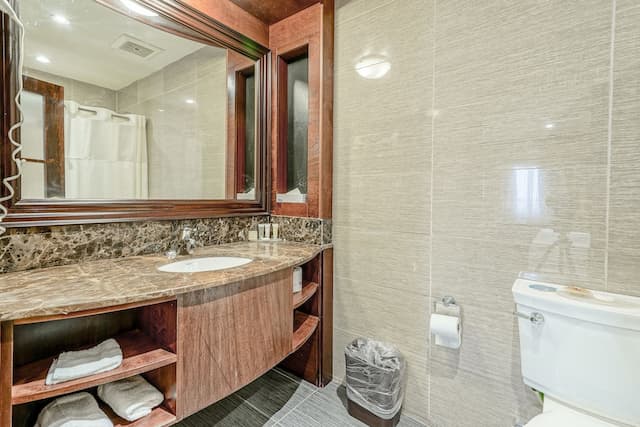 우드바인 호텔 & 스위트-프리미엄 스위트, 킹사이즈침대 1개, 분사식 욕조-4