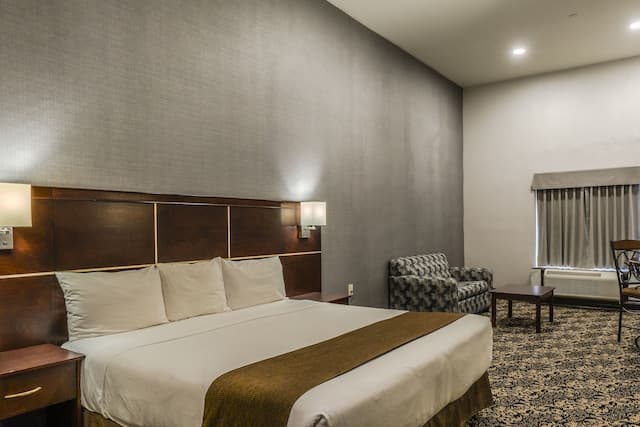 우드바인 호텔 & 스위트-주니어 스위트, 킹사이즈침대 1개 및 소파베드, 금연-1