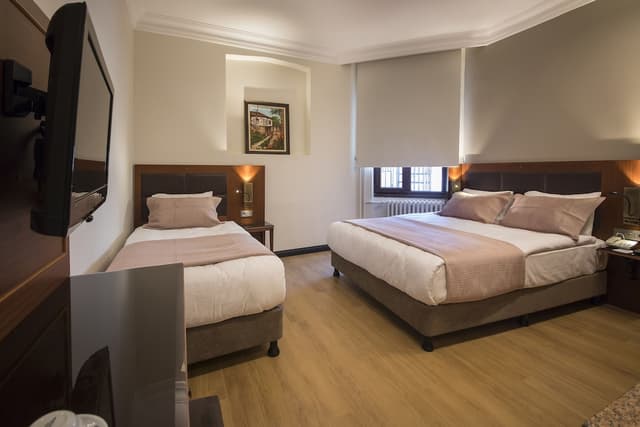 Vardar Palace Hotel - Special Class-三人房-1