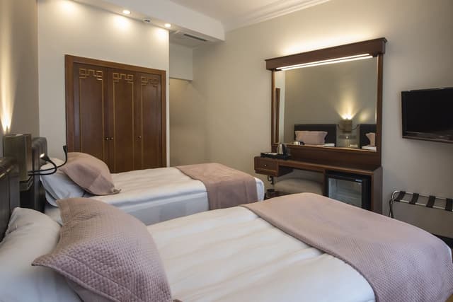 Vardar Palace Hotel - Special Class-高级房, 2 张单人床-1