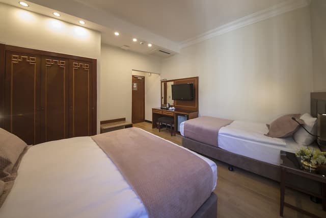Vardar Palace Hotel - Special Class-三人房-3