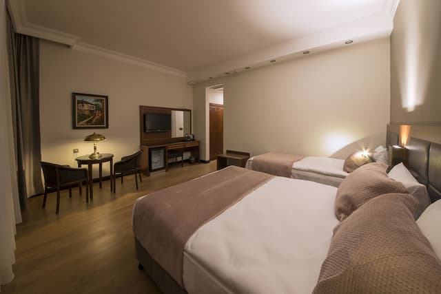 Vardar Palace Hotel - Special Class-高级三人房-3