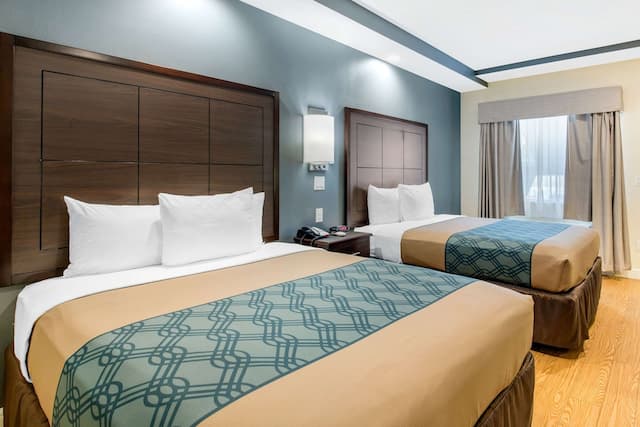 이코노 로지 인 & 스위트 휴스턴 윌로우브룩-스탠다드룸, 퀸사이즈침대 2개, 금연 (Efficiency)-3