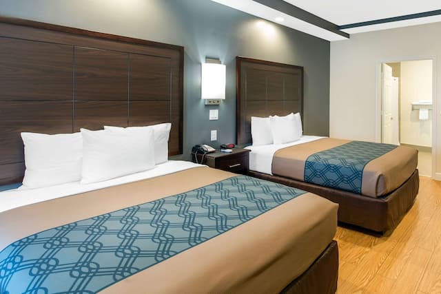 이코노 로지 인 & 스위트 휴스턴 윌로우브룩-룸, 퀸사이즈침대 2개, 장애인 지원, 금연-3