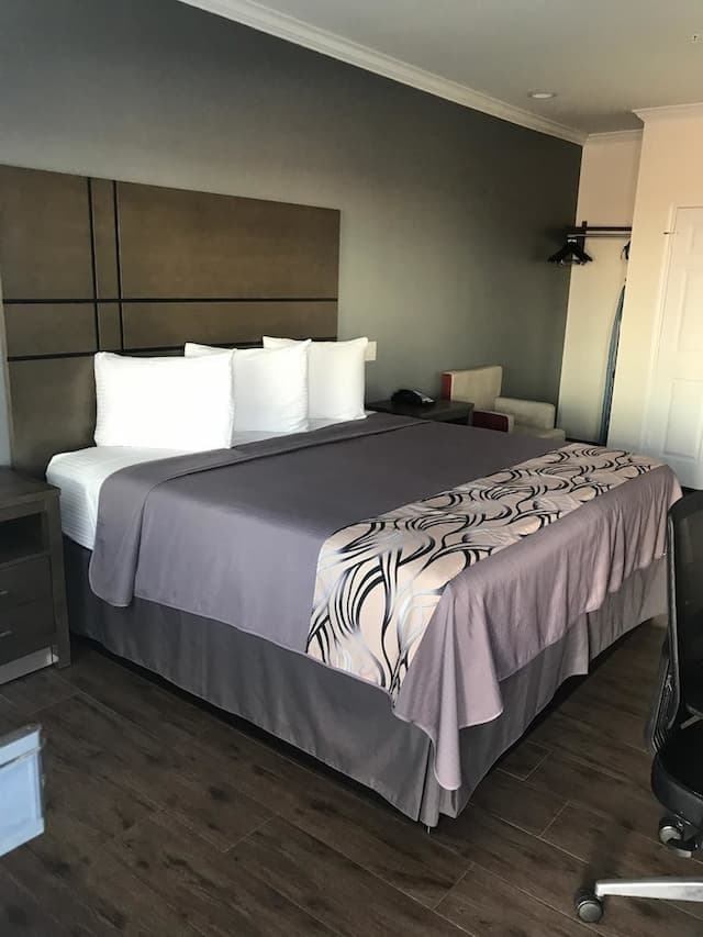 아메리카스 인 앤드 스위트 IAH 노스-이코노미 싱글룸-2