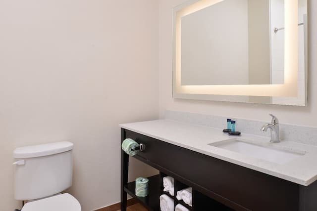 아메리카스 인 앤드 스위트 IAH 노스-이코노미 싱글룸-6