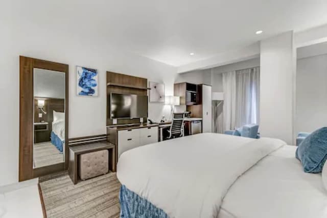 EST 호텔-스위트, 킹사이즈침대 1개, 분사식 욕조-2