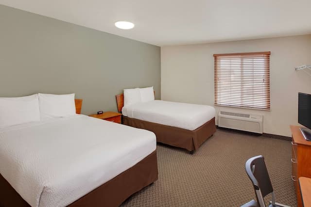 우드스프링 스위츠 휴스턴 I-10 웨스트-스탠다드룸, 더블침대 2개, 금연-1