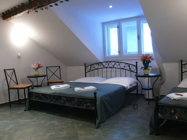 Pension Prague City-Standard Double or Twin Room-4
