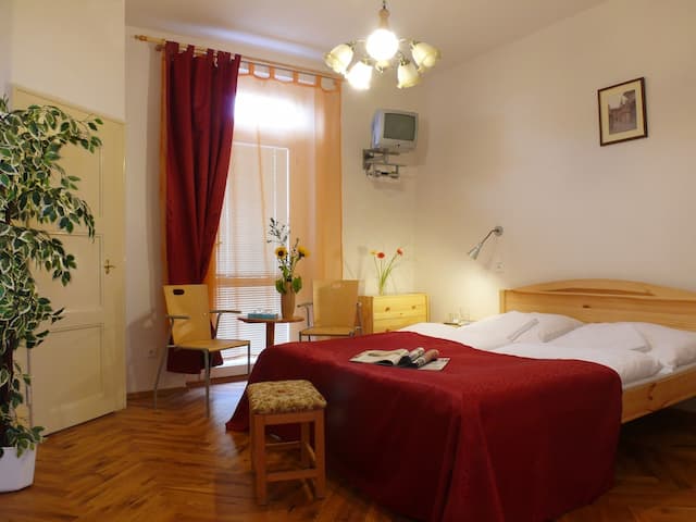 Pension Prague City-Standard Double or Twin Room-3
