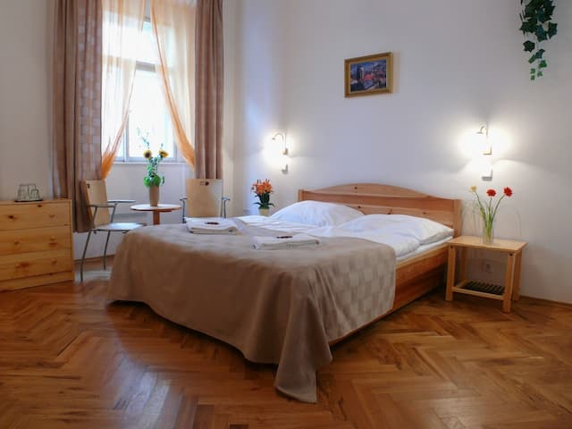 Pension Prague City-Standard Double or Twin Room-2