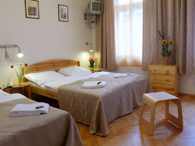 Pension Prague City-Triple Room-3