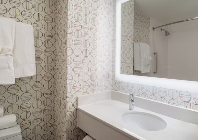 홀리데이 인 뉴욕 시티 - 월 스트리트 바이 IHG-스탠다드룸, 킹사이즈침대 1개 (Leisure)-5