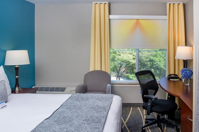 The Belltown Inn-Queen Guestroom-7