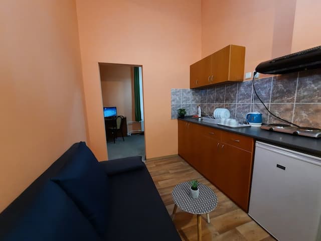Pension City Center-Apartment, 1 Bedroom-1