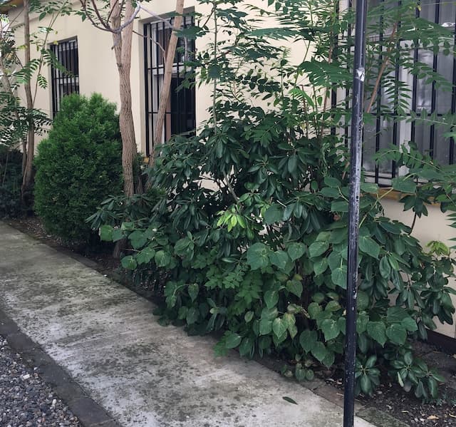 Pension City Center-Comfort Apartment, 1 Bedroom-7