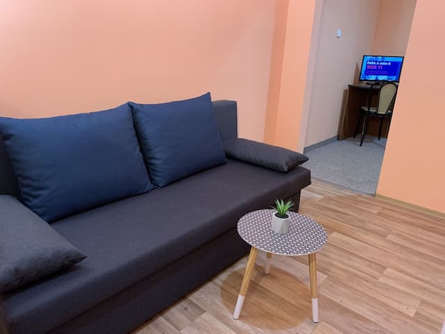 Pension City Center-Apartment, 1 Bedroom-5