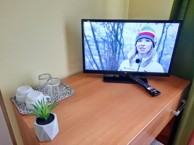 Pension City Center-Economy Twin Room (1 to 2 beds)-3