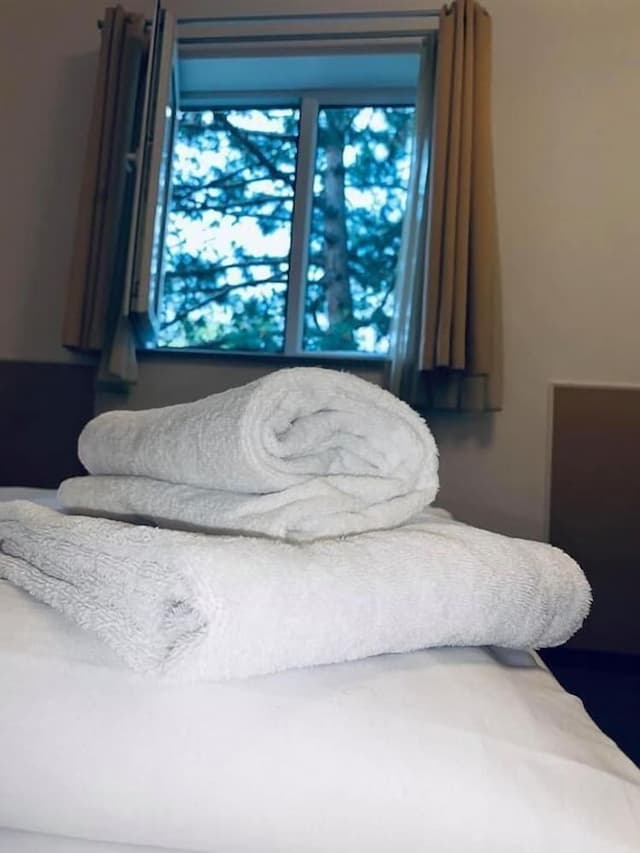 호텔 도나우슈타트 카그란-트리플룸-5