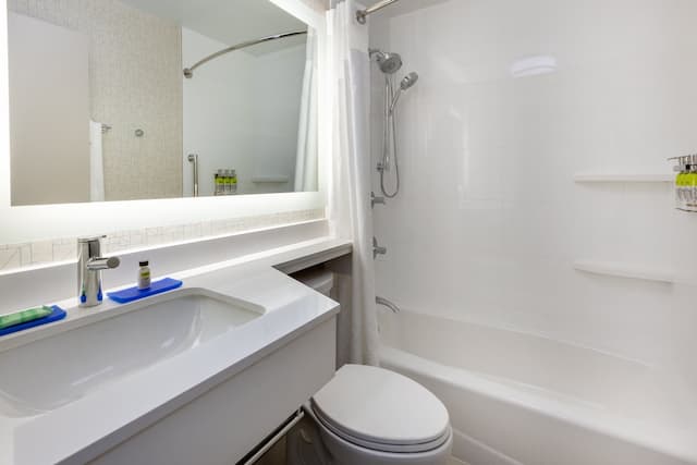 홀리데이 인 익스프레스 NYC 브루클린 - 선셋 파크 바이 IHG-스탠다드룸, 킹사이즈침대 1개-7